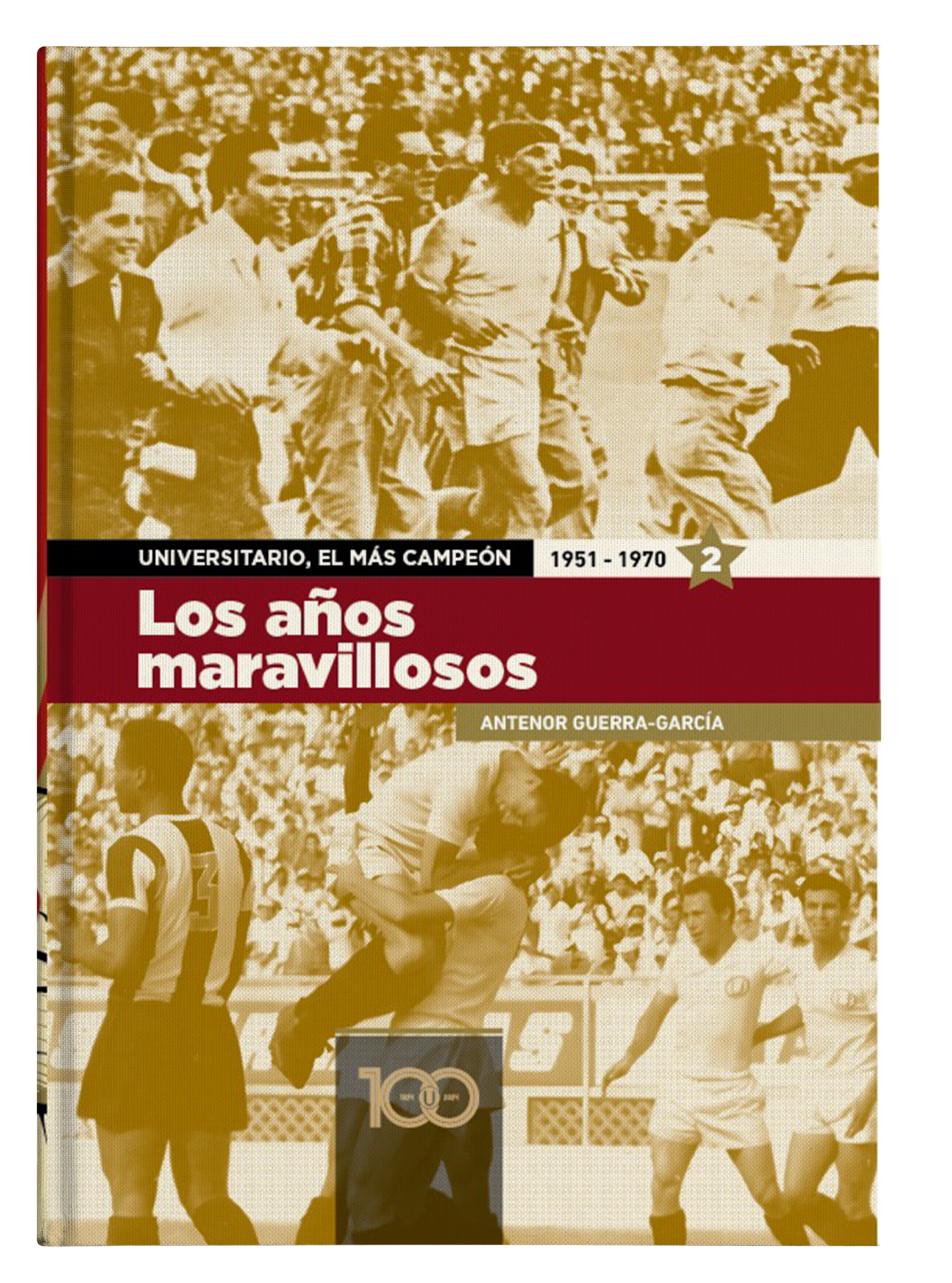 Los Años Maravillosos (Tomo 2)